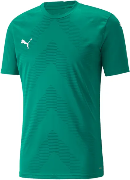 Футболка Puma teamGLORY Jersey 70501705