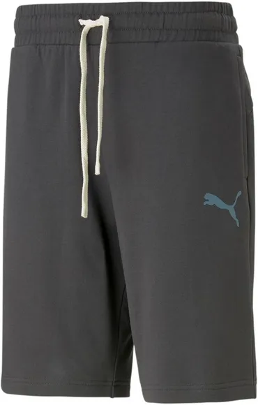 Шорты Puma ESS BETTER Shorts 10"" TR 67329575