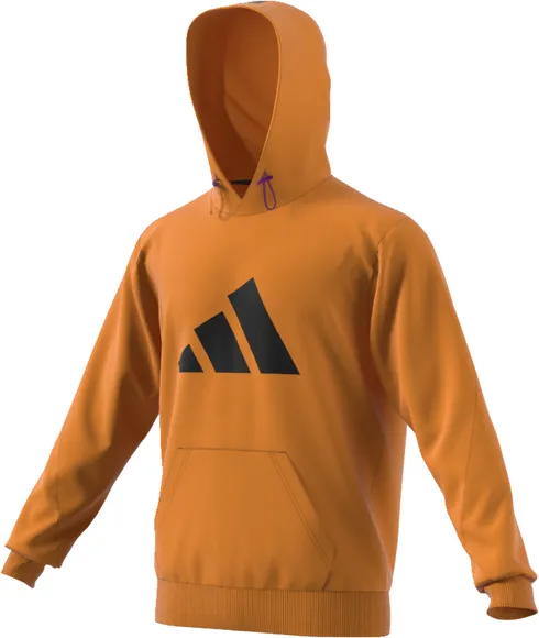 Толстовка Adidas M FI WTR Hoodie H21562