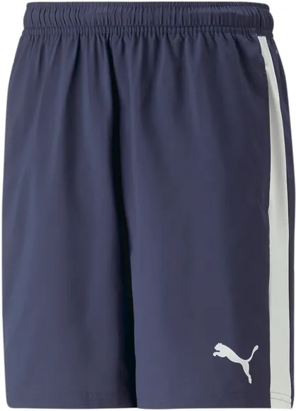 Шорты Puma teamLIGA Multisport Shorts 65839306