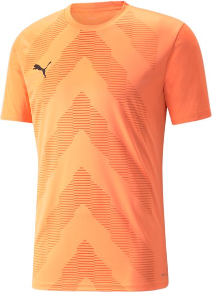 Футболка Puma teamGLORY Jersey