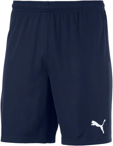 Шорты Puma teamGOAL 23 knit Shorts 70426206