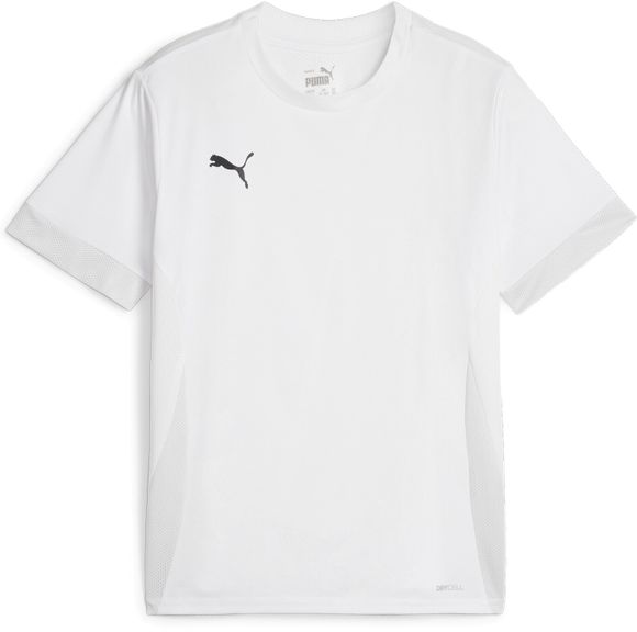 Футболка Puma teamGOAL Matchday Jersey jr