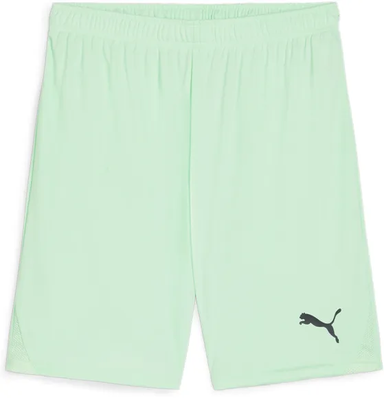 Шорты Puma teamGOAL Shorts