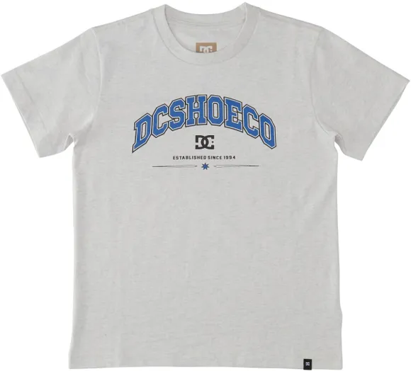 Футболка DC Shoes ORIENTATION TEES SCVW ADBZT03257-SCVW