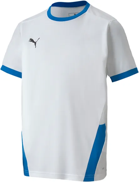 Футболка Puma teamGOAL 23 Jersey jr 70416012