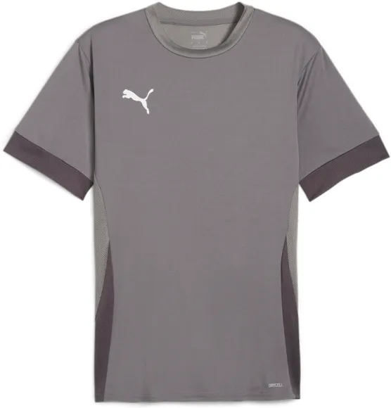 Футболка Puma teamGOAL Matchday  Jersey