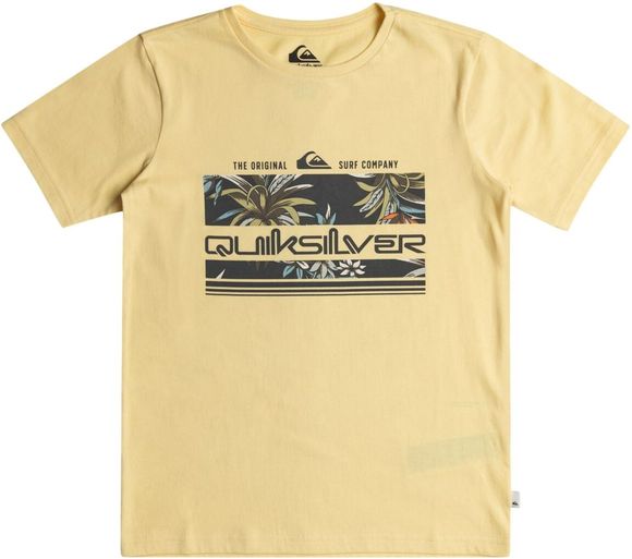 Футболка Quiksilver TROPICALRAINYTH TEES YED0 EQBZT04725-YED0