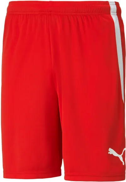 Шорты Puma teamLIGA Shorts