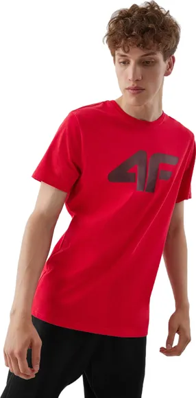 Футболка 4F TSHIRT M0877 4FAW23TTSHM0877-62S