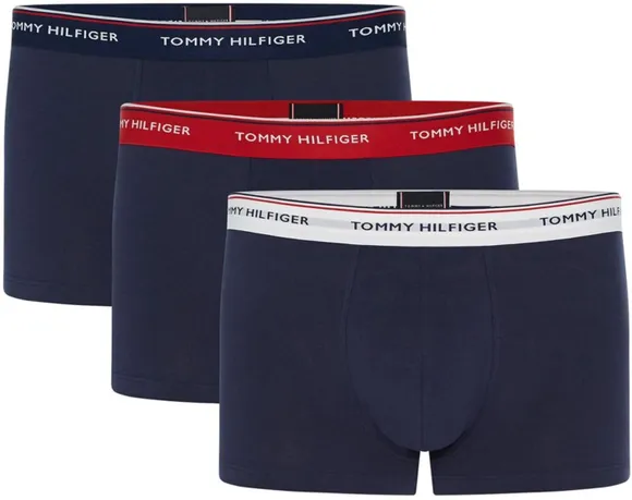 Трусы (3 шт) Tommy Hilfiger Underpants 1U87903842-904