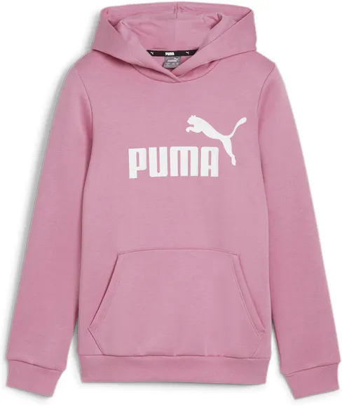 Толстовка Puma ESS Logo Hoodie FL G