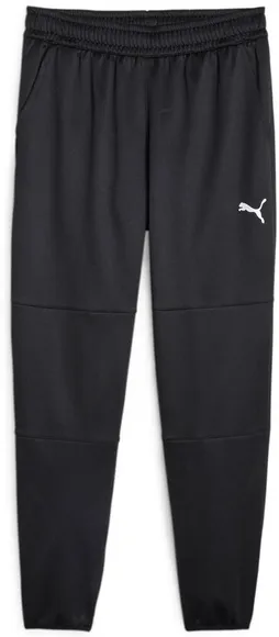 Брюки Puma PERFORMANCE ESSENTIAL PWRFLEECE JOGGER 52422901