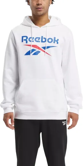 Толстовка Reebok RI BIG STACKED LOGO HOOD 100050293