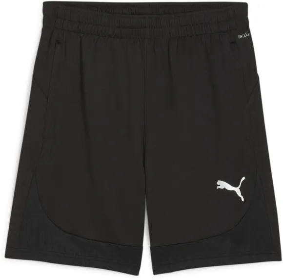 Шорты Puma teamFINAL Training Shorts 65856603