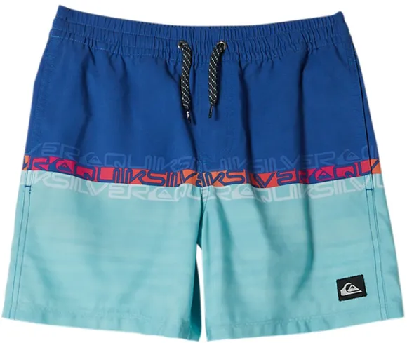 Шорты для плавания Quiksilver WORDBLOCK 14 JAMV BYC6 AQBJV03051-BYC6