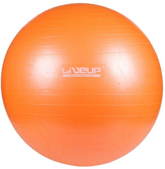 Комплект: фитбол и насос LiveUp ANTI-BURST BALL-65CM LS3222-65o