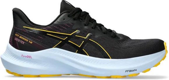 Кроссовки Asics GT-2000 12 GTX 1012B507-001