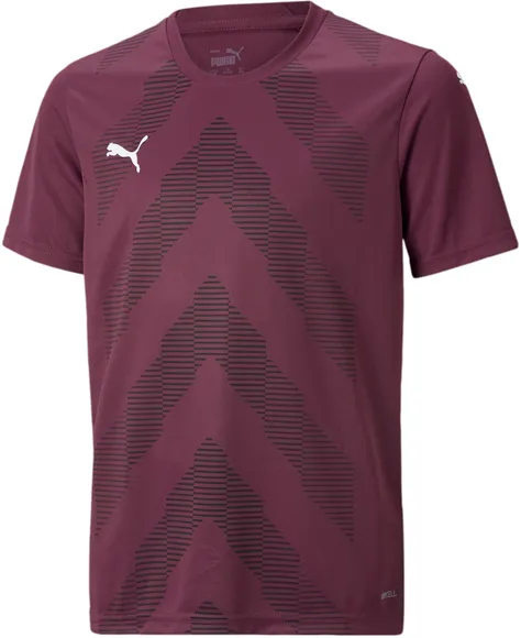 Футболка Puma teamGLORY Jersey Jr 70530924