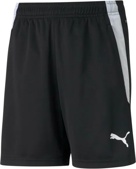 Шорты Puma teamLIGA Training Shorts Jr 65725003