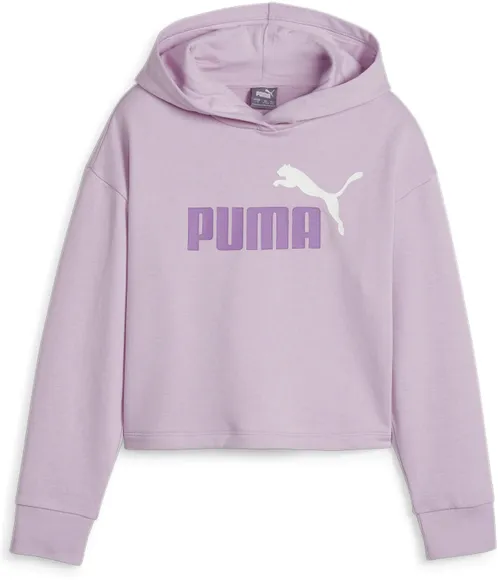 Толстовка Puma ESS+ 2COLOR LOGO Short Length Hoodie TR G