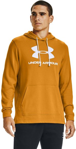 Толстовка Under Armour SPORTSTYLE TERRY LOGO HOODIE 1348520-711