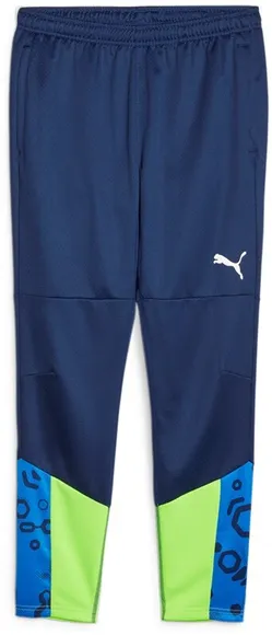 Брюки Puma individualCUP Training Pants 65848754