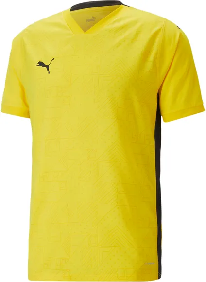 Футболка Puma teamCUP Jersey