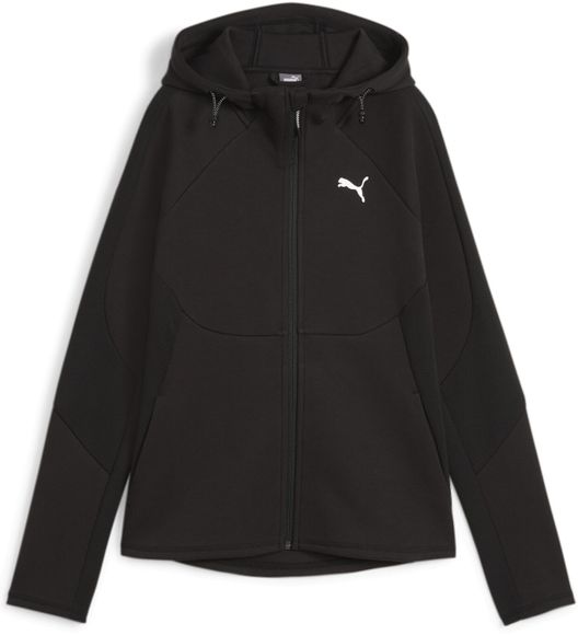 Толстовка Puma EVOSTRIPE FZ Hoodie