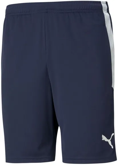 Шорты Puma teamLIGA Training Shorts 65724906