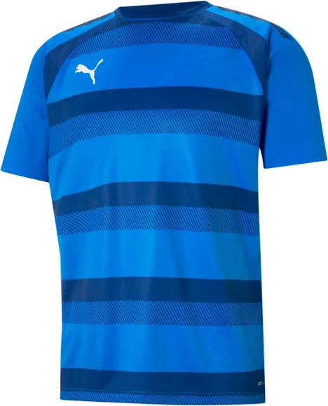 Футболка Puma teamVISION Jersey 70492102