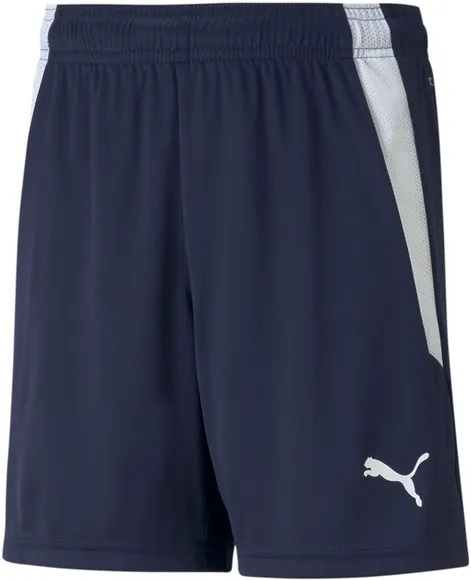 Шорты Puma teamLIGA Shorts Jr 70493106