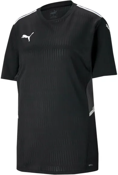 Футболка Puma teamCUP Jersey 70438603