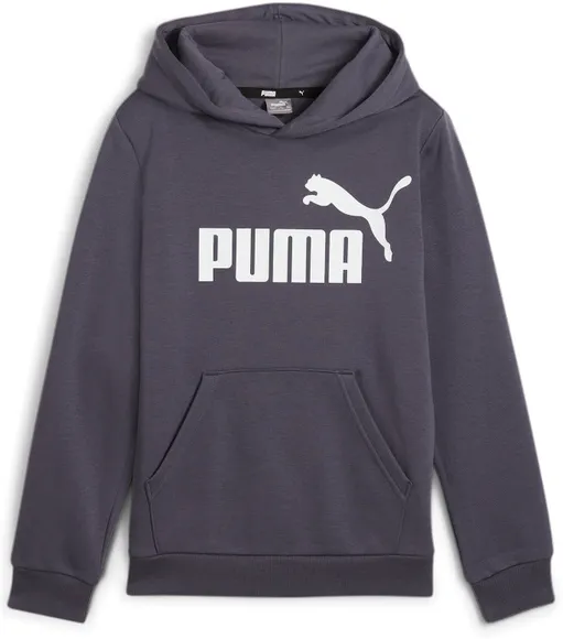 Толстовка Puma ESS Big Logo Hoodie FL B