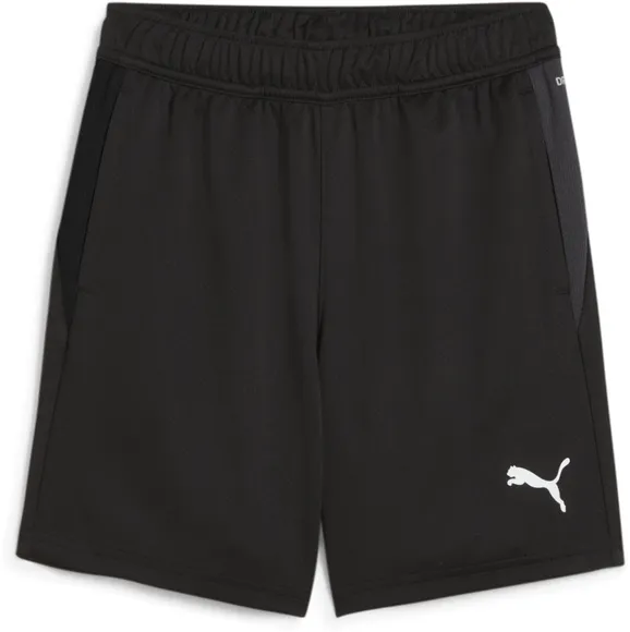 Шорты Puma teamGOAL Training Short Jr 65864403