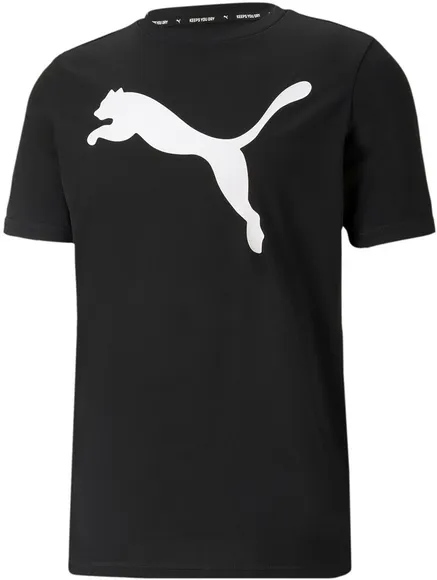 Футболка Puma ACTIVE Big Logo Tee 58672401