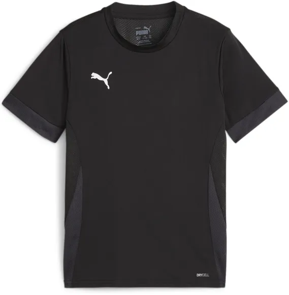 Футболка Puma teamGOAL Matchday Jersey jr