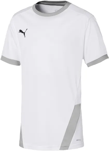 Футболка Puma teamGOAL 23 Jersey jr 70416004