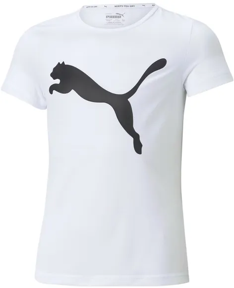 Футболка Puma ACTIVE Tee G