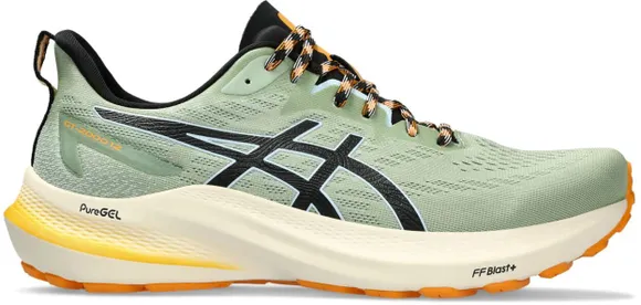 Кроссовки Asics GT-2000 12 TR 1011B775-250