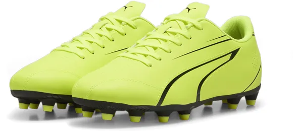 Бутсы Puma VITORIA FG/AG 10748304