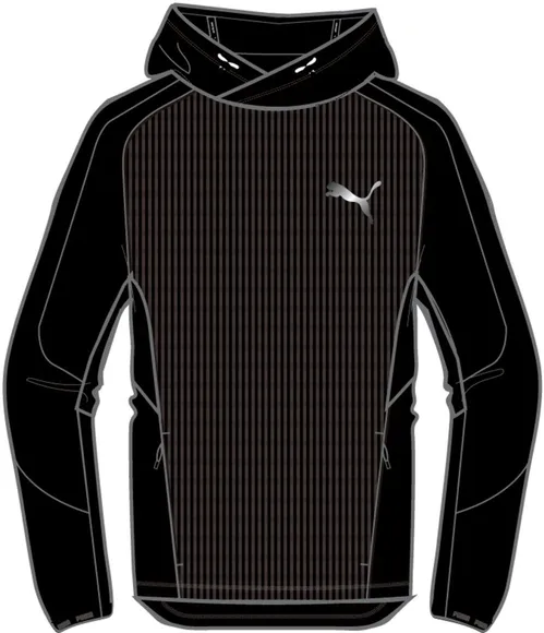 Толстовка Puma Evostripe Hoodie 84991401