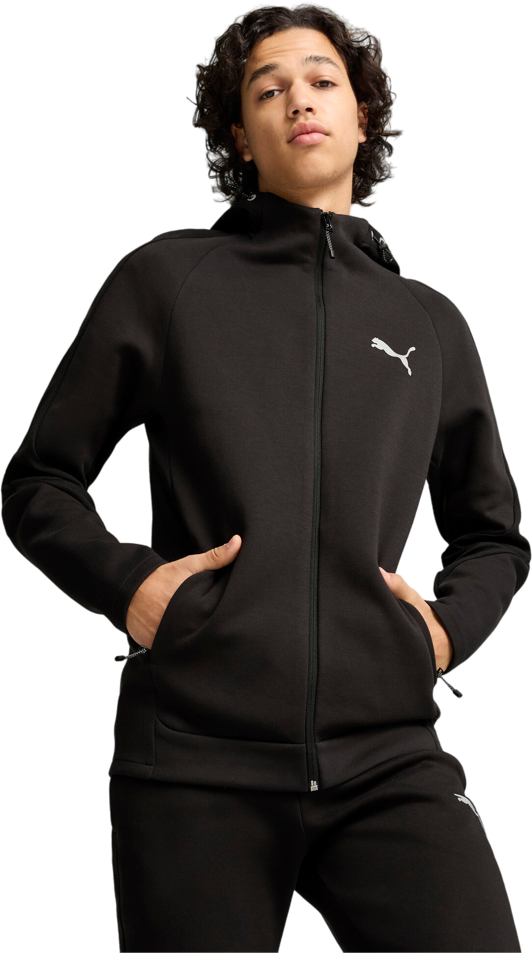 Толстовка Puma EVOSTRIPE Full-Zip Hoodie DK