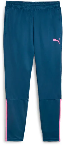 Брюки Puma teamLIGA Training Pants 65724256