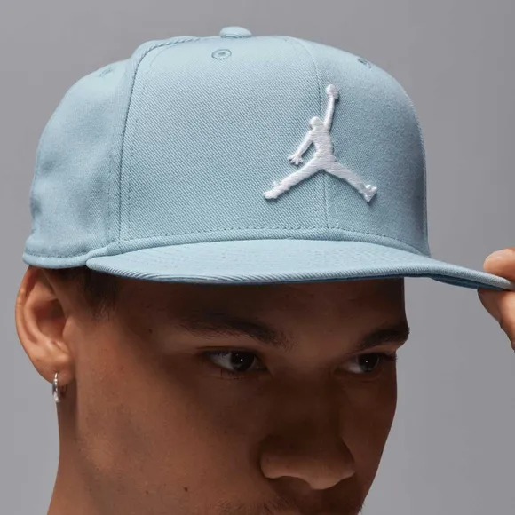 Бейсболка Nike Air Jordan Pro Cap S FB Jumpman FV5296-436