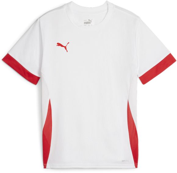 Футболка Puma teamGOAL Matchday Jersey jr 70574811