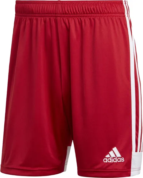 Шорты Adidas TASTIGO19 SHO DP3681