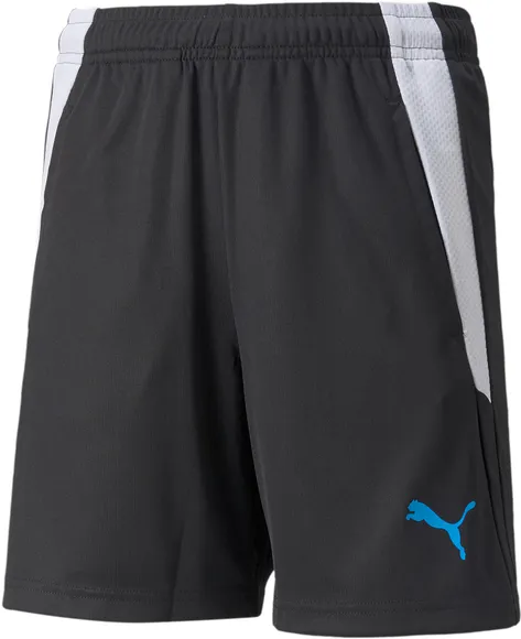 Шорты Puma teamLIGA Training Shorts 2 Jr (open pockets) 65766846