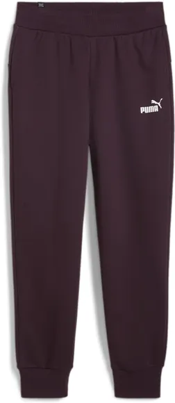 Брюки Puma ESS Sweatpants FL cl (s)