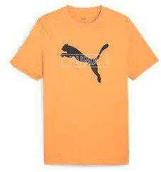 Футболка Puma DESERT ROAD Graphic Tee 67970546